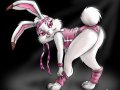 1138201200694_race_bunny.jpg